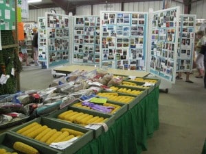 4H and FFA Exhibits