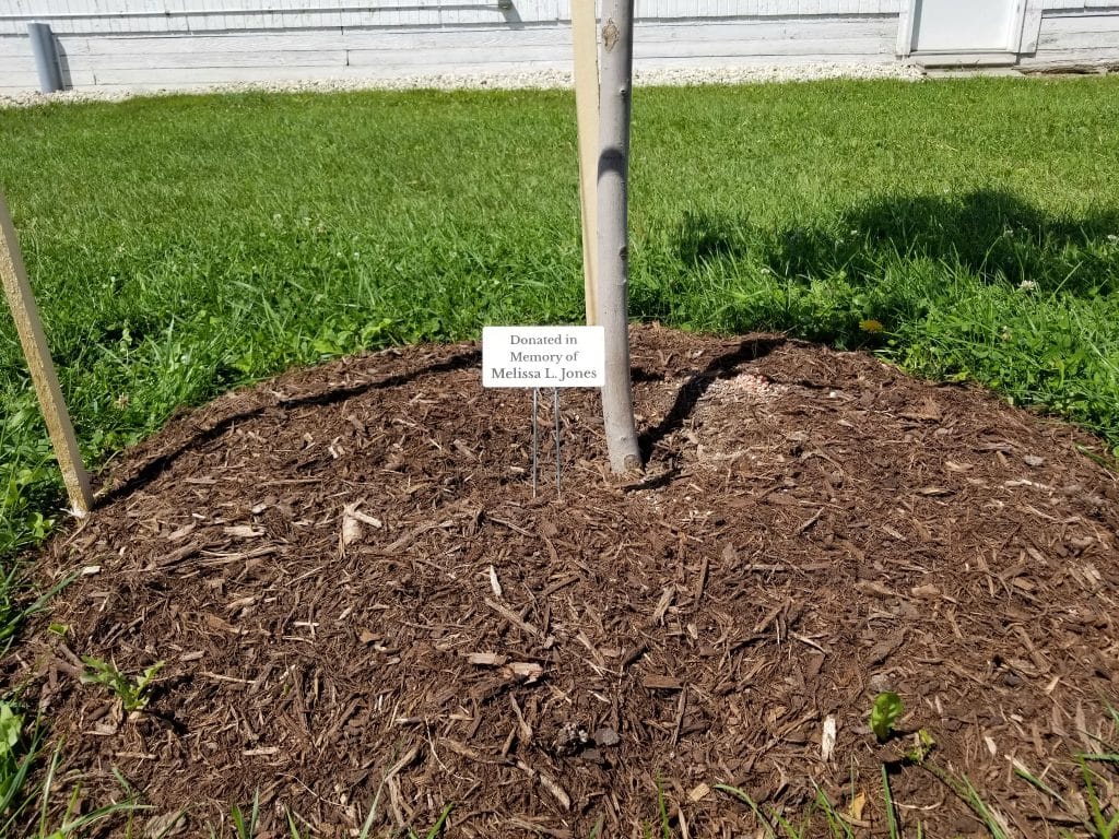 shade tree donation memorial